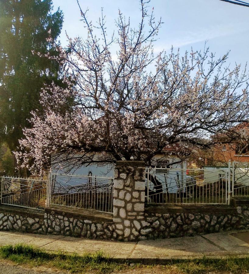 Fuege Vendeghaz Ξενοδοχείο Μίσκολτς Εξωτερικό φωτογραφία